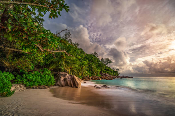 istock paradise beach at anse georgette, praslin, seychelles 22 1081203040