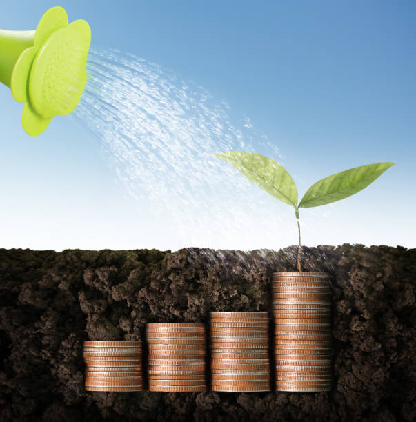 istock Investment concept, Coins graph stock 1081203312