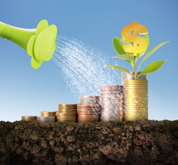 istock Investment concept, Coins graph stock 1081203314