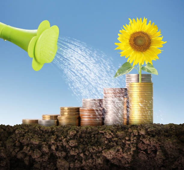 istock Investment concept, Coins graph stock 1081203316