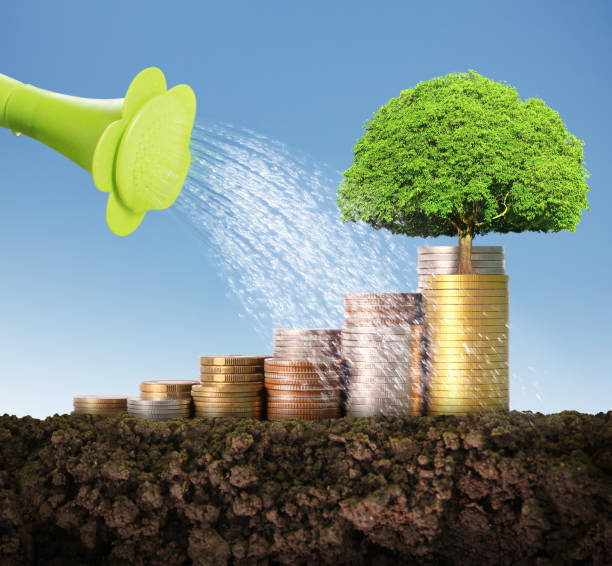 istock Investment concept, Coins graph stock 1081203322