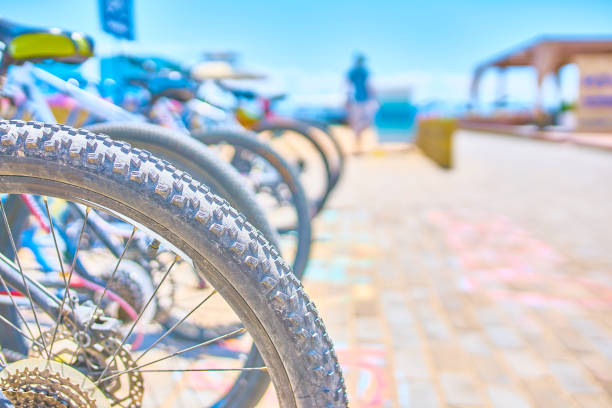 istock Parking spaces for bicycles 1081203414