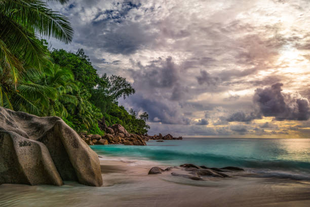 istock paradise beach at anse georgette, praslin, seychelles 5 1081203430