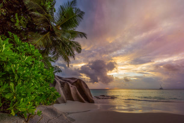 istock paradise beach at anse georgette, praslin, seychelles 50 1081203462