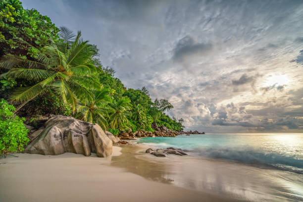 istock paradise beach at anse georgette, praslin, seychelles 14 1081204544