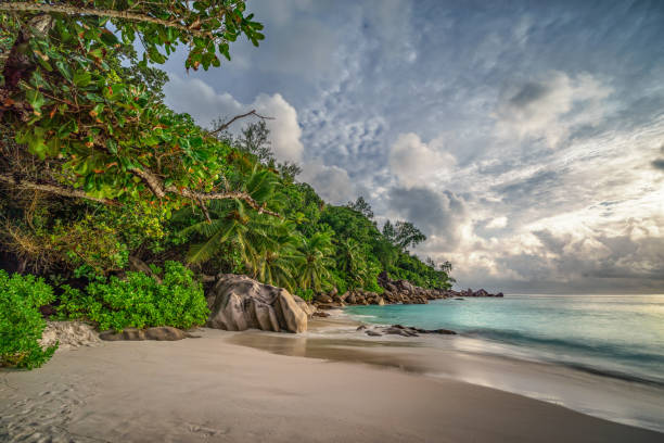 istock paradise beach at anse georgette, praslin, seychelles 20 1081205806