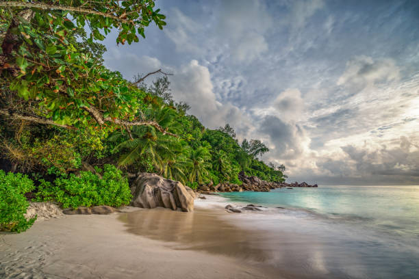 istock paradise beach at anse georgette, praslin, seychelles 22 1081205876