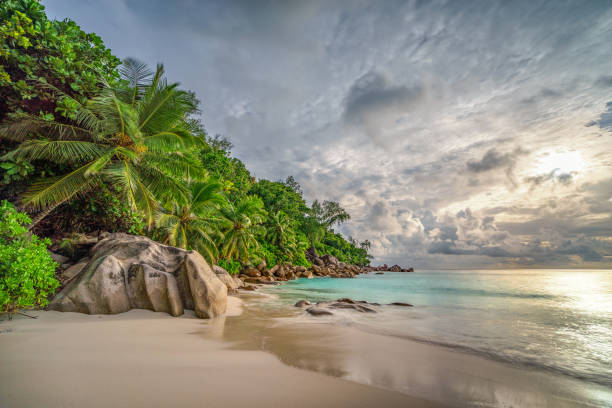 istock paradise beach at anse georgette, praslin, seychelles 13 1081207282