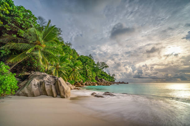 istock paradise beach at anse georgette, praslin, seychelles 15 1081207310