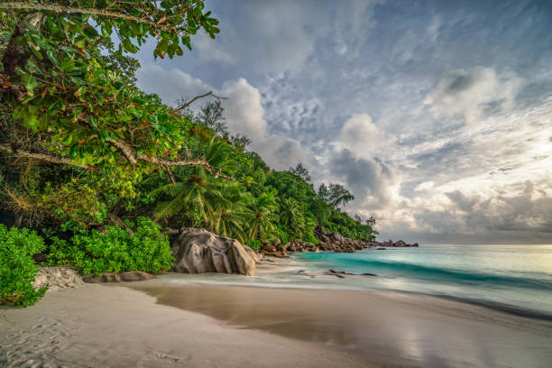 istock paradise beach at anse georgette, praslin, seychelles 21 1081207458