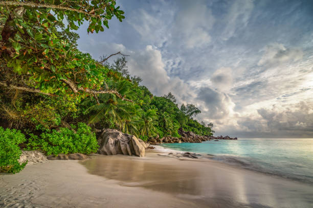 istock paradise beach at anse georgette, praslin, seychelles 23 1081207478