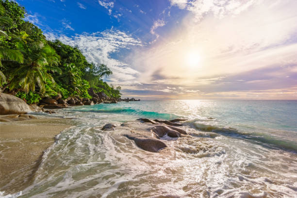 istock sunny day on paradise beach anse georgette,praslin seychelles 31 1081211154