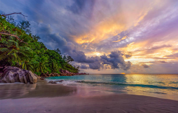 istock sunset on paradise beach at anse georgette, praslin, seychelles 11 1081220274