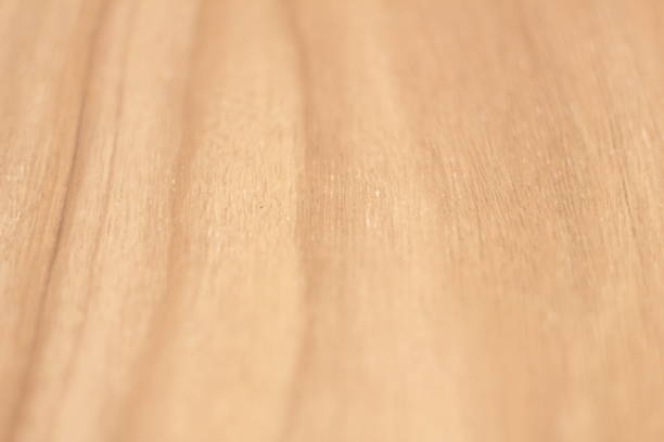 istock the texture of wood 1081222840