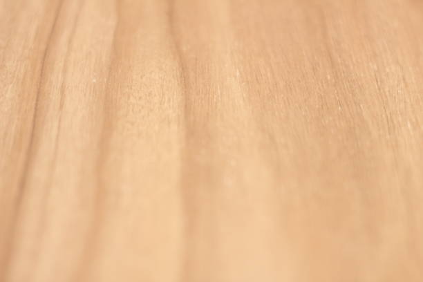 istock the texture of wood 1081223270