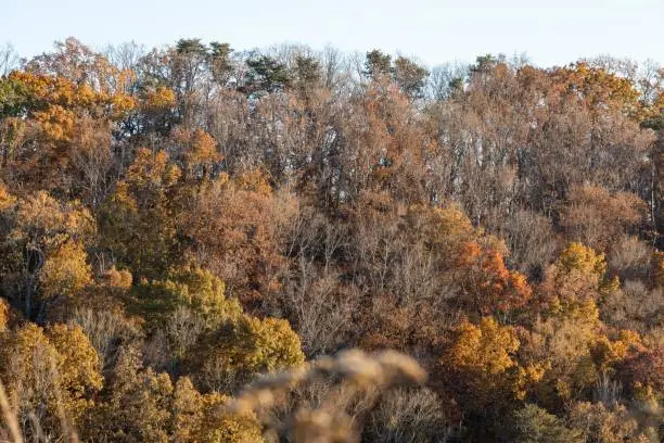 Photo of Scenics seen from Seven Islands Birding Park in Kodak, Tennessee