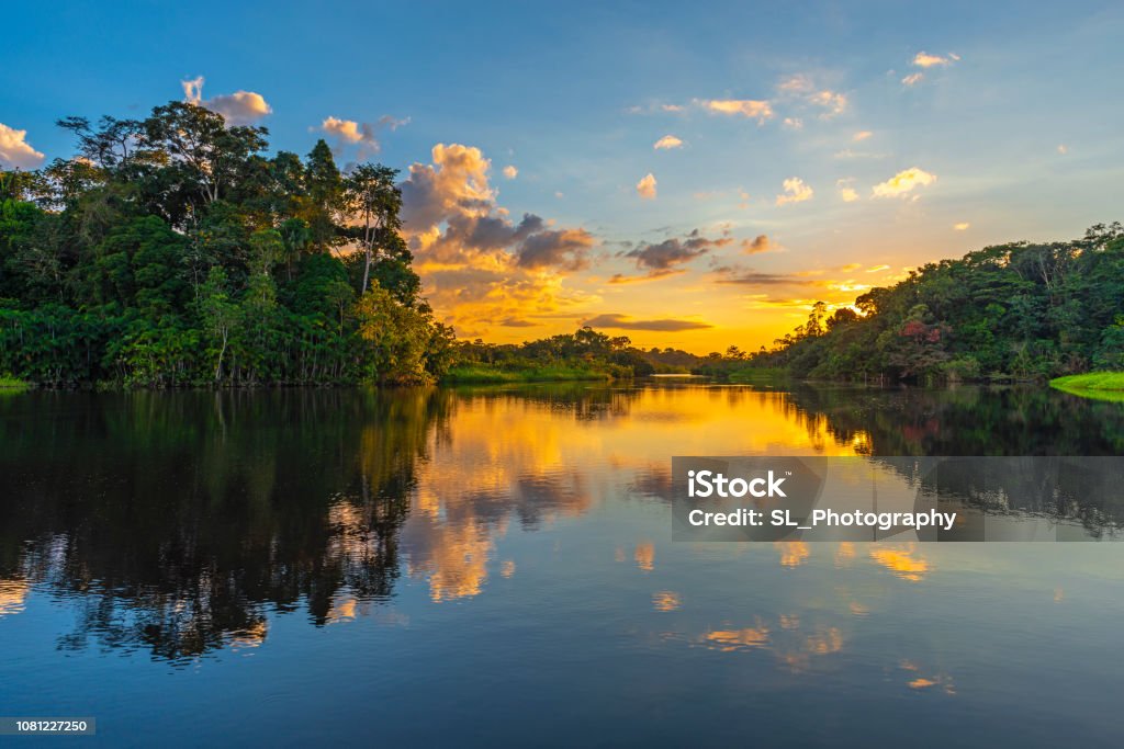 Amazon River Sunset Reflection of a sunset by a lagoon inside the Amazon Rainforest Basin. The Amazon river basin comprises the countries of Brazil, Bolivia, Colombia, Ecuador, Guyana, Suriname, Peru and Venezuela. Amazon Region Stock Photo