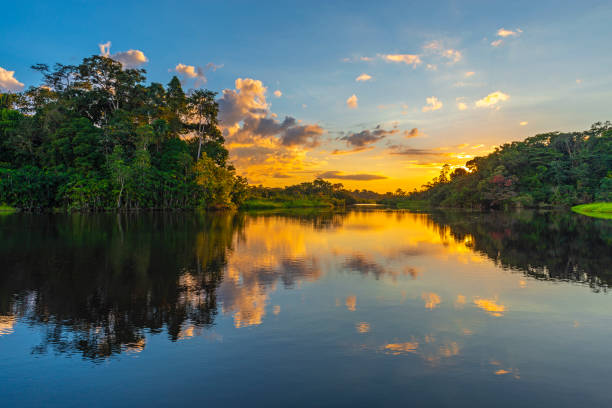Amazon River Sunset Reflection of a sunset by a lagoon inside the Amazon Rainforest Basin. The Amazon river basin comprises the countries of Brazil, Bolivia, Colombia, Ecuador, Guyana, Suriname, Peru and Venezuela. peruvian amazon photos stock pictures, royalty-free photos & images