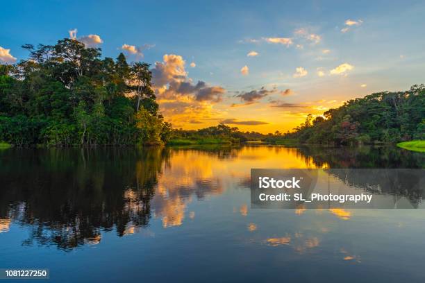 Amazon River Sunset Stock Photo - Download Image Now - Amazon Region, Amazon River, Amazon Rainforest