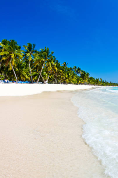 istock beach and tropical sea 1081243350