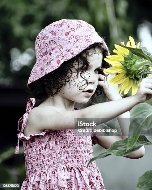 Photo libre de droit de Petite Fille À La Recherche De Tournesol banque d'images et plus d'images libres de droit de Enfant - Enfant, Tournesol, 4-5 ans