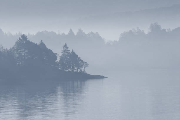 Free picture: Dense fog on lakeside with silhouette of trees in the ...