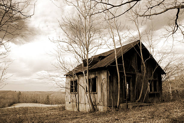 istock Abandoned Old House with Bare Trees, Sepia Toned 108125233