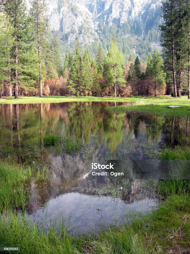 Yosemite lago - Foto de stock de Beleza natural - Natureza royalty-free