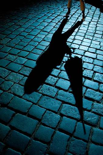 Shadow of a woman with umbrella cast on the cobblestone road.
