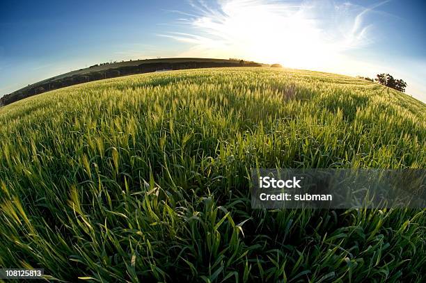 Farmfields に沈む夕日 - 自然の景観のストックフォトや画像を多数ご用意 - 自然の景観, 魚眼撮影, カラー画像