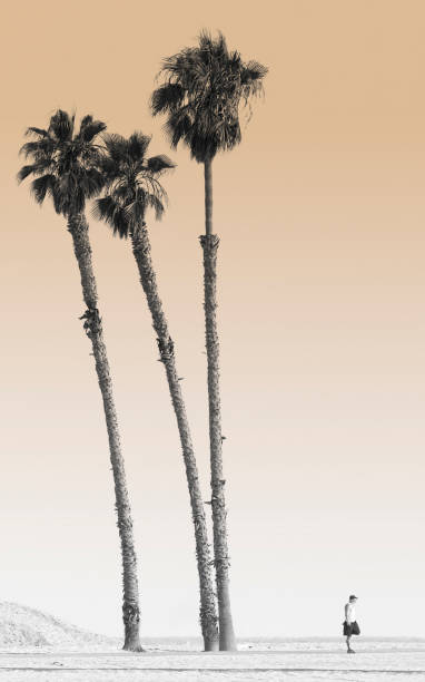 istock Man Standing on Beach Next to Tall Palm Trees, Toned 108125937