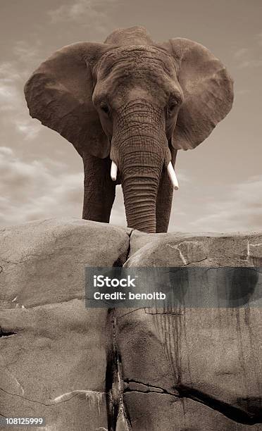 Слон Стоя На Скалах Cliff Цвета Сепии — стоковые фотографии и другие картинки Африка - Африка, Африканский слон, Без людей