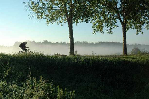 Person Biking on Dutch Levee During Spring stock photo