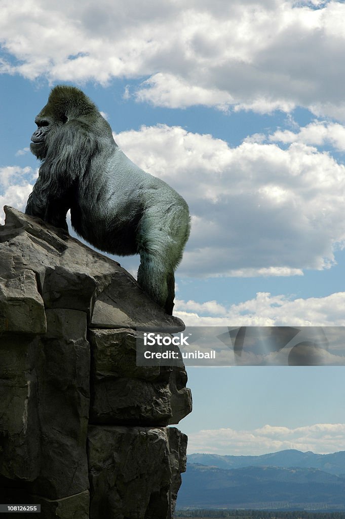 gorilla auf Felsen - Lizenzfrei Gorilla Stock-Foto