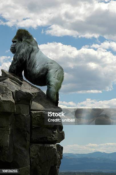 Gorilla Auf Felsen Stockfoto und mehr Bilder von Gorilla - Gorilla, Klettern, Silberrücken-Gorilla