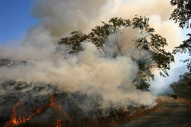 Fire on the mountain stock photo