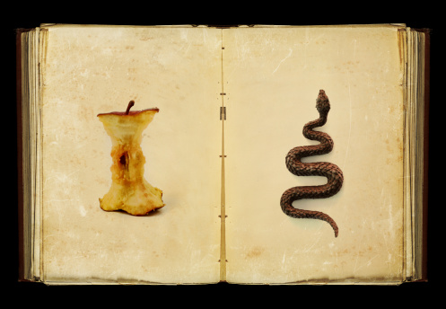 an open book showing an eaten apple and a snake, my interpretation of the original sin