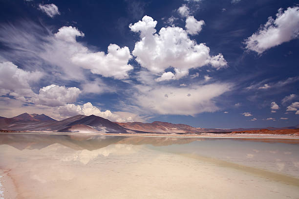 Scenic view of Salt Lake Salar de Altiplano, Atacama, Chile More ATACAMA images here:
[url=http://www.istockphoto.com/search/lightbox/795555#317839c][img]http://www.kriando.com.br/istock/ATACAMA.jpg[/img][/url] salt flat stock pictures, royalty-free photos & images