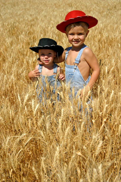 istock Two Little Boys Standing in Wheat Field 108127212