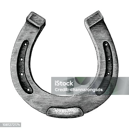 2,800+ Drawing Of Horseshoe Stock Illustrations, Royalty-Free Vector  Graphics & Clip Art - iStock
