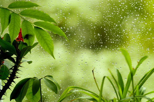 Raindrops on car window in rainy day