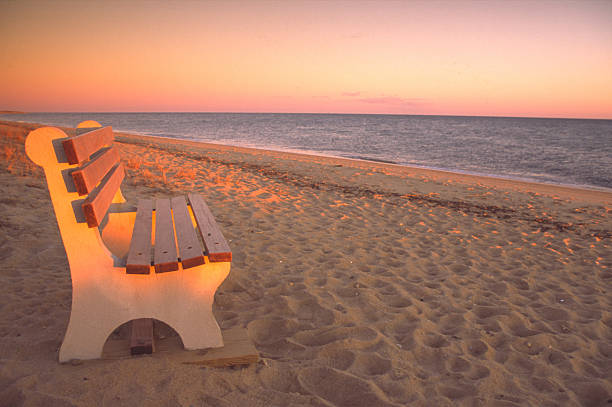 cabo de pôr do sol sul - beach bench cape cod sunset imagens e fotografias de stock