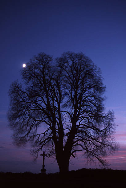 Silhouette der Baum und Kreuz bei Sonnenuntergang – Foto