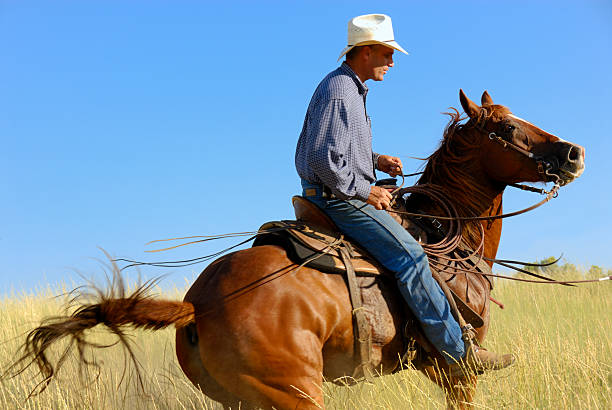 koń whisperer - cowboy horseback riding nature blue zdjęcia i obrazy z banku zdjęć