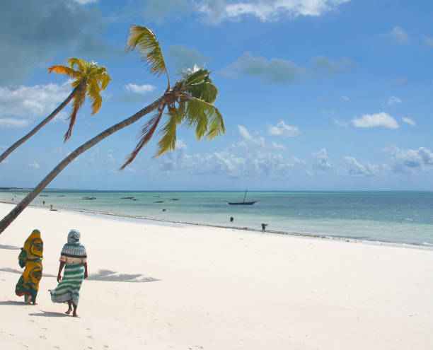 african beach - zanzibar zdjęcia i obrazy z banku zdjęć