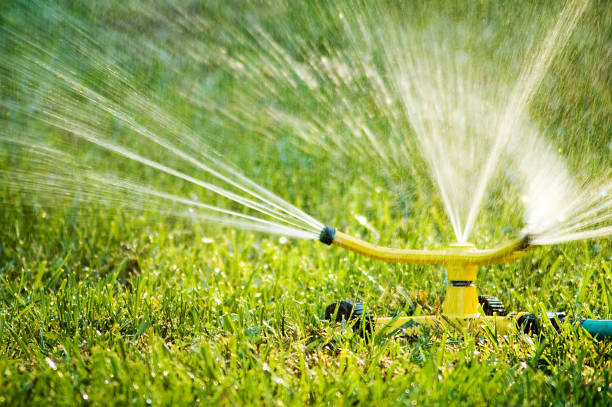 istock Water Sprinkler on Green Lawn 108128137