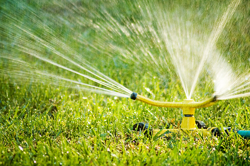 Irrigation system in home garden. Automatic watering lush green lawn. Selective focus.