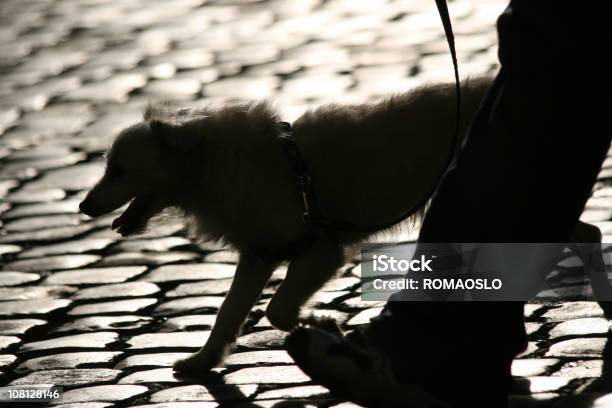 Dog Walking Silhouette Stock Photo - Download Image Now - Dog Walking, Sidewalk, Adult