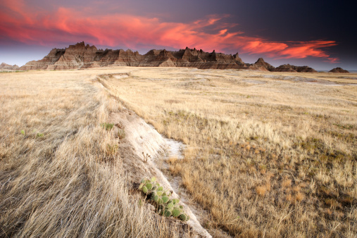 Rugged dry hills of the badlands surrounded by drying prairie grass and wild sunflowers at sunset.