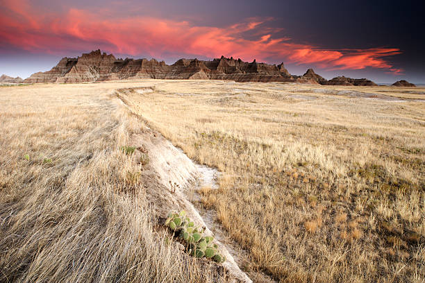 Badlands and Prairie Field at Sunset  badlands stock pictures, royalty-free photos & images